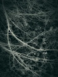 Gothique (6)