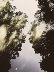 Le ciel miroitant de la nature