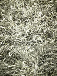 Gazon naturel texturé