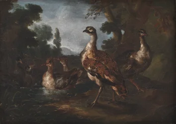 Paysage avec oiseaux