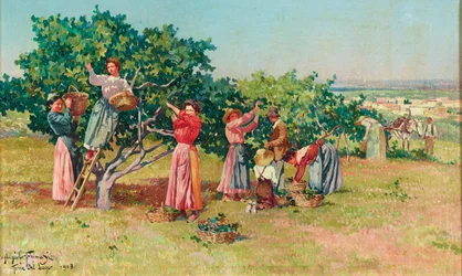 Récolte en Toscane