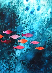 Poissons marins colorés