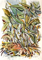 Au cœur de la jungle