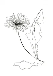 Dessin au trait « Pissenlit »