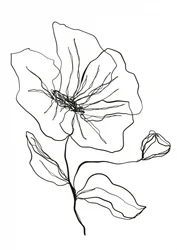 Esquisse d