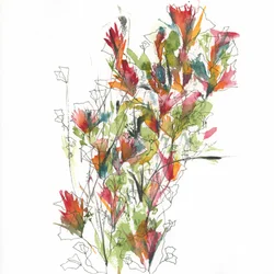 Fleurs aux couleurs vives à l