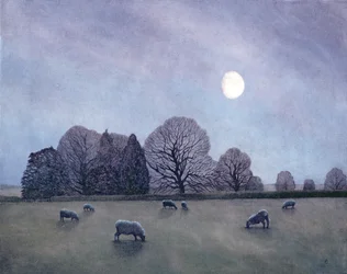 Nuit au Clair de Lune, 2004