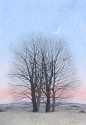 Nouvelle lune, 2011