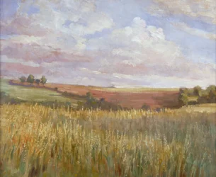 Le champ de blé, vers 1864-1930
