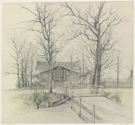 Café sous des arbres nus