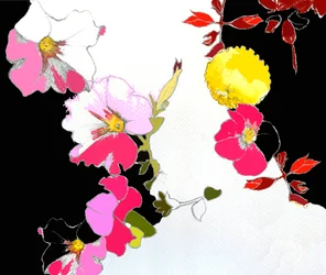 Jardin chinois