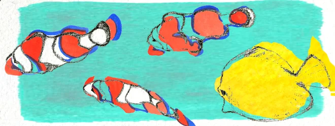 Poisson