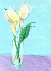 Sympathie