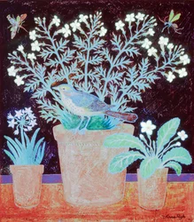 3 pots et un oiseau