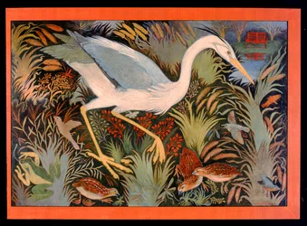Pauvre poisson