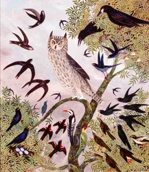 Bâtons et pierres, 2000 (acrylique)