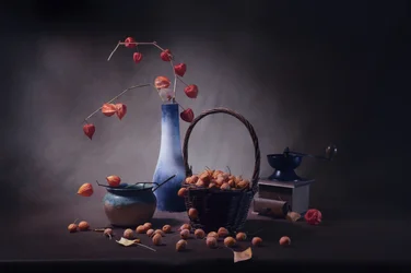 Récolte de lanternes d
