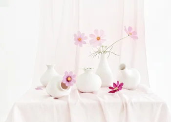 Nature morte aux cosmos rosés