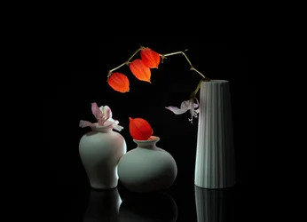 Élégante nature morte florale