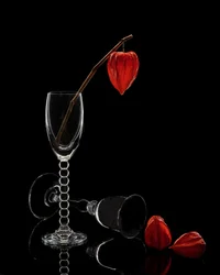 Nature morte au verre et aux physalis