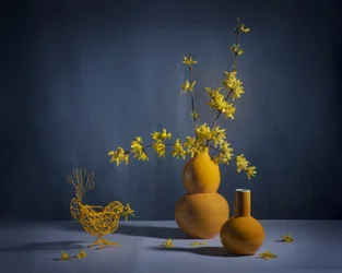 Nature morte à la forsythia dorée