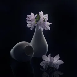 Fleurs et vases mélancoliques