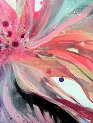 Une floraison éclatante