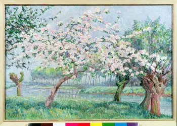 Fleur de pommier au bord de la rivière