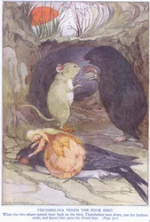 Poucette soigne le pauvre oiseau