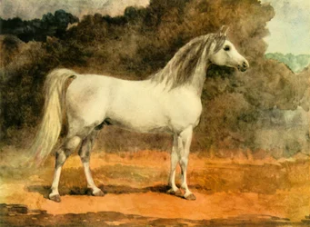 Un célèbre étalon arabe, vers 1870, 1944