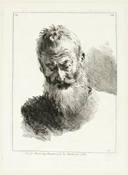 Tête d