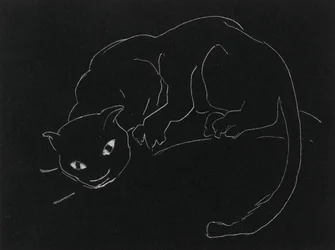 Série de nuit : Le Chat