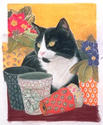 Bhajii et pots de fleurs