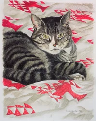 Chat sur un quilt