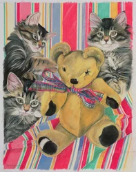 Chatons et nounours