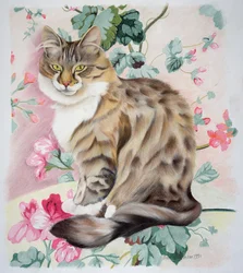 Chat tigré à poil long