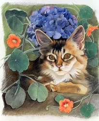 Sootsy avec hortensia