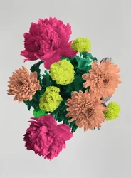 Bonheur en fleurs, 2017
