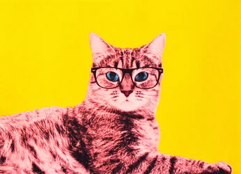 La vie en technicolor