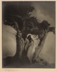 Le Cœur de la tempête