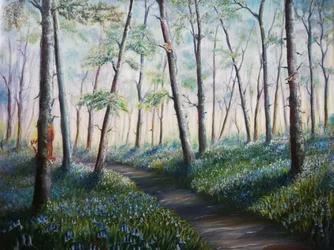 Sentier à travers la forêt de jacinthes