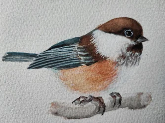 Adorable mésange perchée