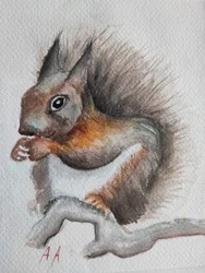 Écureuil des bois à l