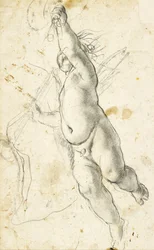 Putto volant