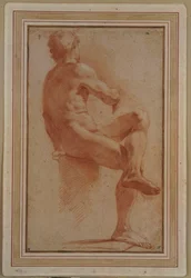 Un nu masculin assis de dos