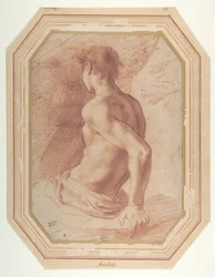 Vue de dos d