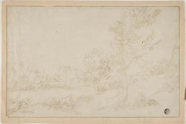Paysage avec rive de rivière