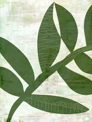 Feuilles vertes abstraites