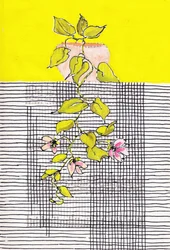 Grille géométrique de plantes grimpantes en fleurs
