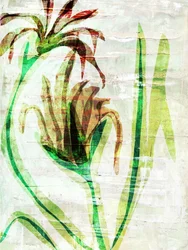 Fleurs de jardin en superposition